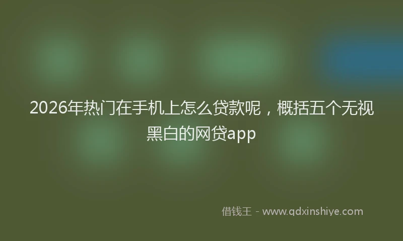 2026年热门在手机上怎么贷款呢，概括五个无视黑白的网贷app
