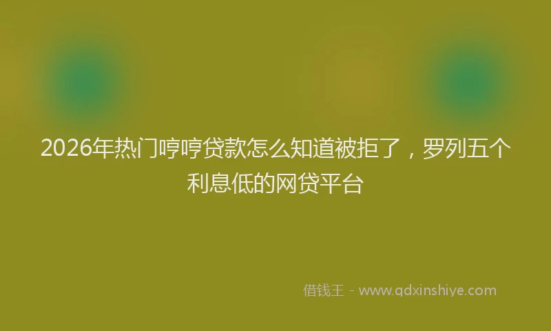 2026年热门哼哼贷款怎么知道被拒了，罗列五个利息低的网贷平台