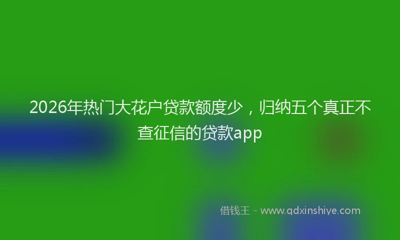 2026年热门大花户贷款额度少，归纳五个真正不查征信的贷款app