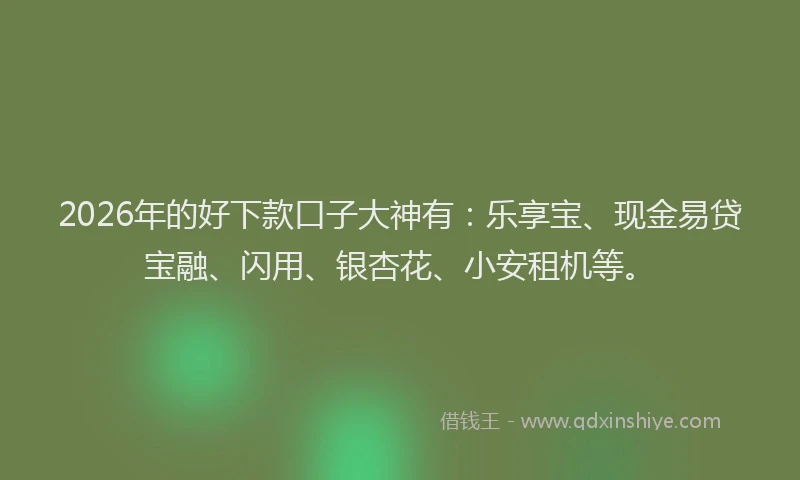2026年的好下款口子大神有：乐享宝、现金易贷宝融、闪用、银杏花、小安租机等。