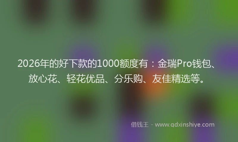 2026年的好下款的1000额度有：金瑞Pro钱包、放心花、轻花优品、分乐购、友佳精选等。