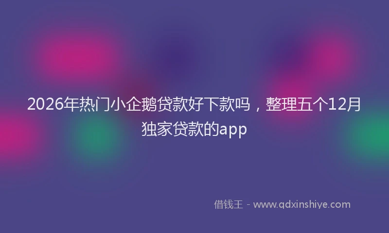 2026年热门小企鹅贷款好下款吗,整理五个12月独家贷款的app