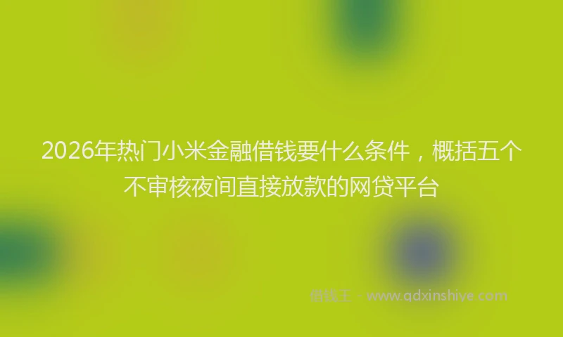 2026年热门小米金融借钱要什么条件，概括五个不审核夜间直接放款的网贷平台