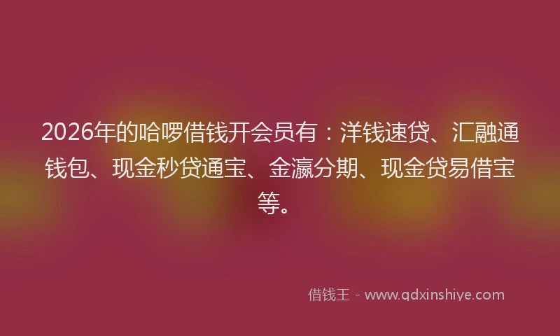 2026年的哈啰借钱开会员有：洋钱速贷、汇融通钱包、现金秒贷通宝、金瀛分期、现金贷易借宝等。
