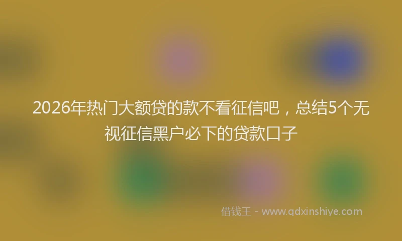 2026年热门大额贷的款不看征信吧，总结5个无视征信黑户必下的贷款口子