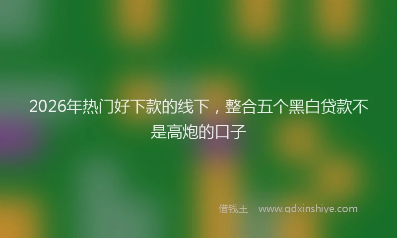 2026年热门好下款的线下，整合五个黑白贷款不是高炮的口子
