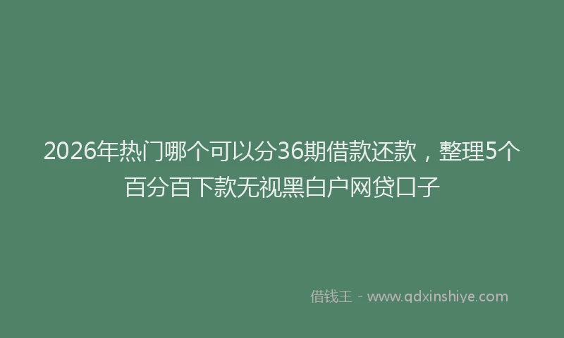 2026年热门哪个可以分36期借款还款，整理5个百分百下款无视黑白户网贷口子