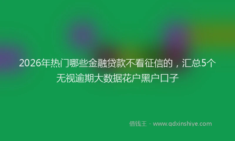 2026年热门哪些金融贷款不看征信的，汇总5个无视逾期大数据花户黑户口子