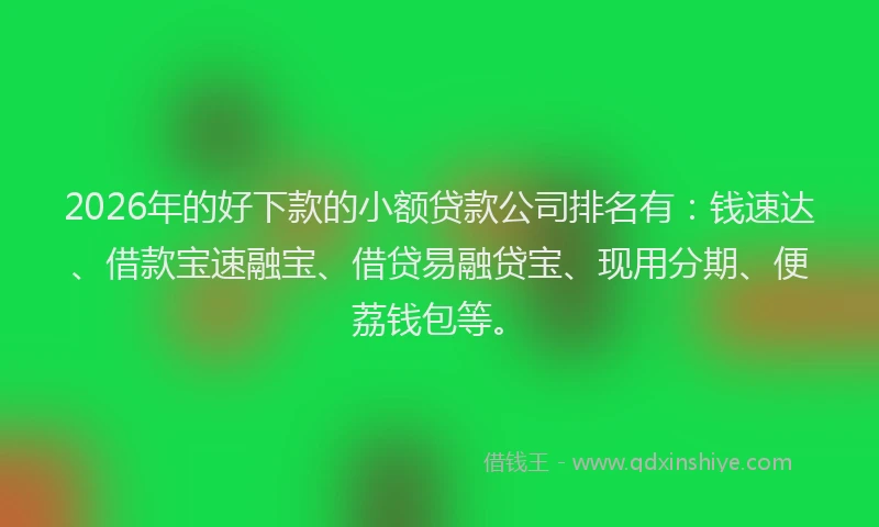 2026年的好下款的小额贷款公司排名有：钱速达、借款宝速融宝、借贷易融贷宝、现用分期、便荔钱包等。