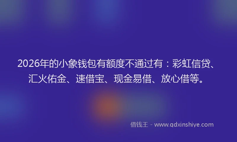 2026年的小象钱包有额度不通过有：彩虹信贷、汇火佑金、速借宝、现金易借、放心借等。
