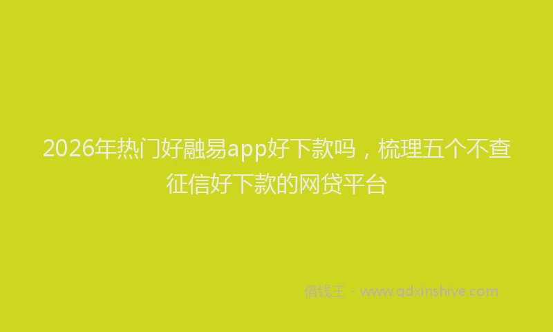 2026年热门好融易app好下款吗，梳理五个不查征信好下款的网贷平台