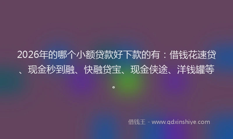 2026年的哪个小额贷款好下款的有：借钱花速贷、现金秒到融、快融贷宝、现金侠途、洋钱罐等。