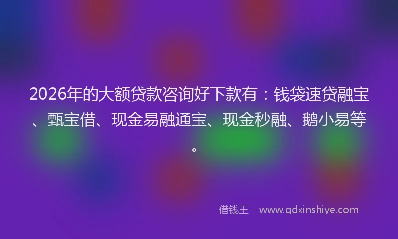 2026年的大额贷款咨询好下款有：钱袋速贷融宝、甄宝借、现金易融通宝、现金秒融、鹅小易等。