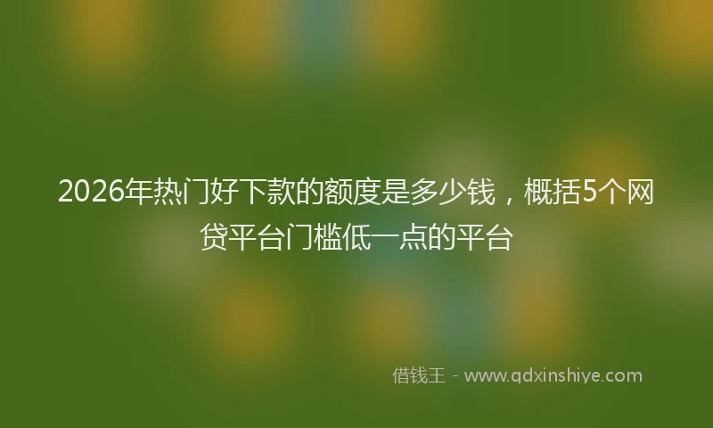 2026年热门好下款的额度是多少钱，概括5个网贷平台门槛低一点的平台