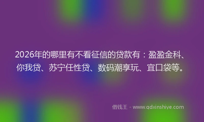 2026年的哪里有不看征信的贷款有：盈盈金科、你我贷、苏宁任性贷、数码潮享玩、宜口袋等。