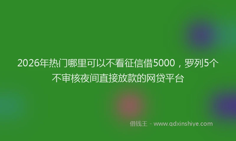 2026年热门哪里可以不看征信借5000，罗列5个不审核夜间直接放款的网贷平台