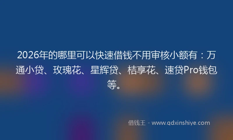2026年的哪里可以快速借钱不用审核小额有：万通小贷、玫瑰花、星辉贷、桔享花、速贷Pro钱包等。