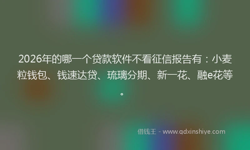 2026年的哪一个贷款软件不看征信报告有：小麦粒钱包、钱速达贷、琉璃分期、新一花、融e花等。
