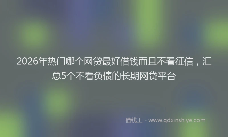 2026年热门哪个网贷最好借钱而且不看征信，汇总5个不看负债的长期网贷平台