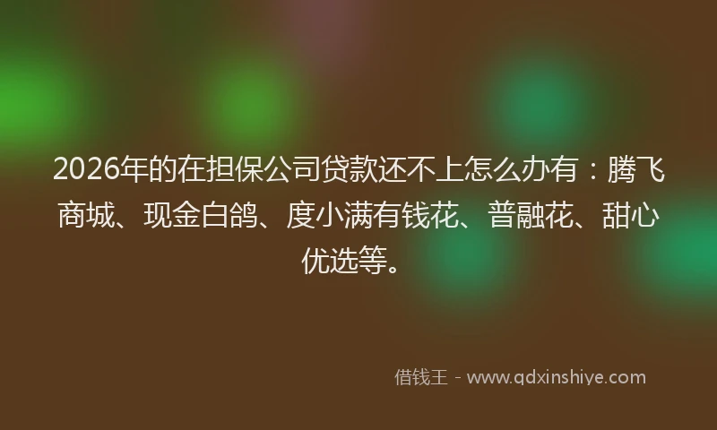 2026年的在担保公司贷款还不上怎么办有：腾飞商城、现金白鸽、度小满有钱花、普融花、甜心优选等。