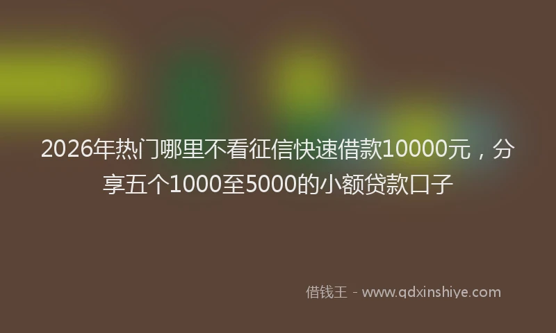 2026年热门哪里不看征信快速借款10000元，分享五个1000至5000的小额贷款口子