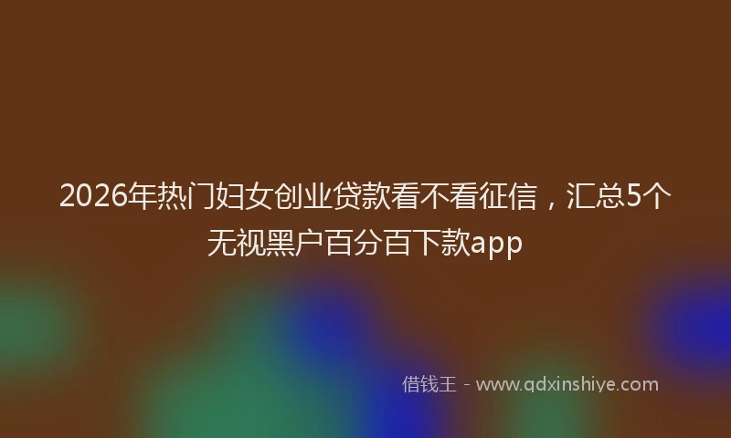 2026年热门妇女创业贷款看不看征信,汇总5个无视黑户百分百下款app