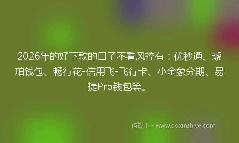 2026年的好下款的口子不看风控有：优秒通、琥珀钱包、畅行花-信用飞-飞行卡、小金象分期、易捷Pro钱包等。