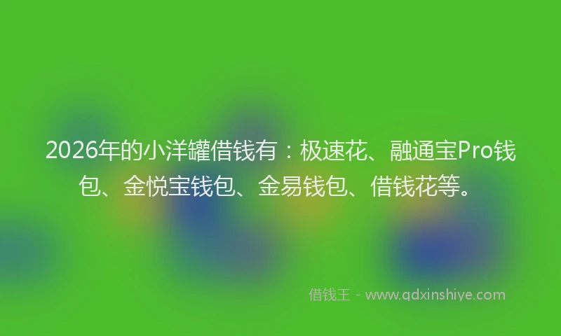 2026年的小洋罐借钱有：极速花、融通宝Pro钱包、金悦宝钱包、金易钱包、借钱花等。