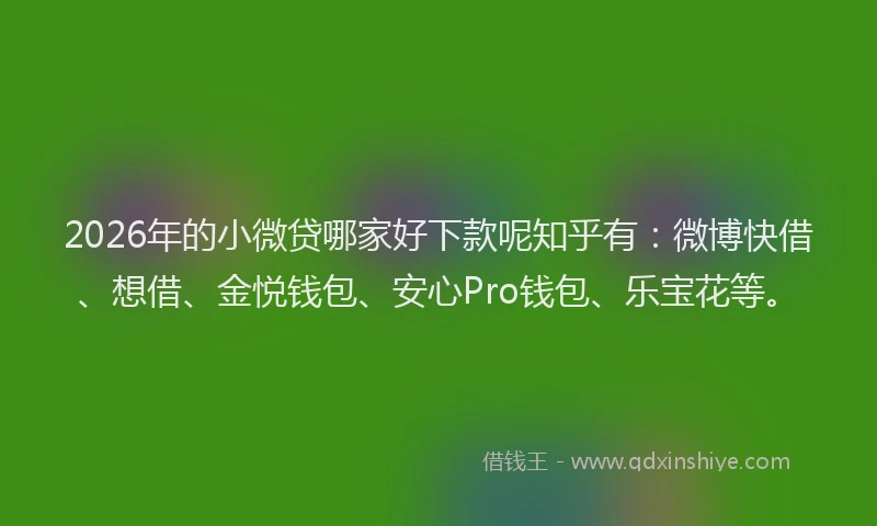 2026年的小微贷哪家好下款呢知乎有：微博快借、想借、金悦钱包、安心Pro钱包、乐宝花等。