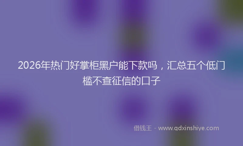 2026年热门好掌柜黑户能下款吗，汇总五个低门槛不查征信的口子
