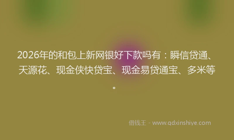 2026年的和包上新网银好下款吗有：瞬信贷通、天源花、现金侠快贷宝、现金易贷通宝、多米等。