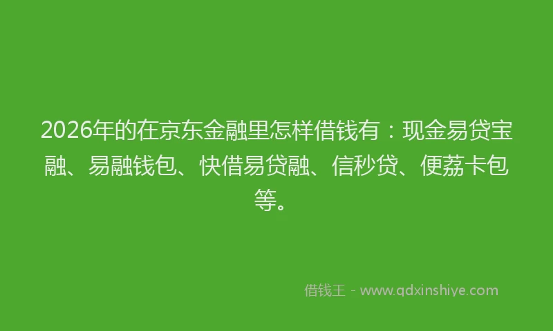 2026年的在京东金融里怎样借钱有：现金易贷宝融、易融钱包、快借易贷融、信秒贷、便荔卡包等。