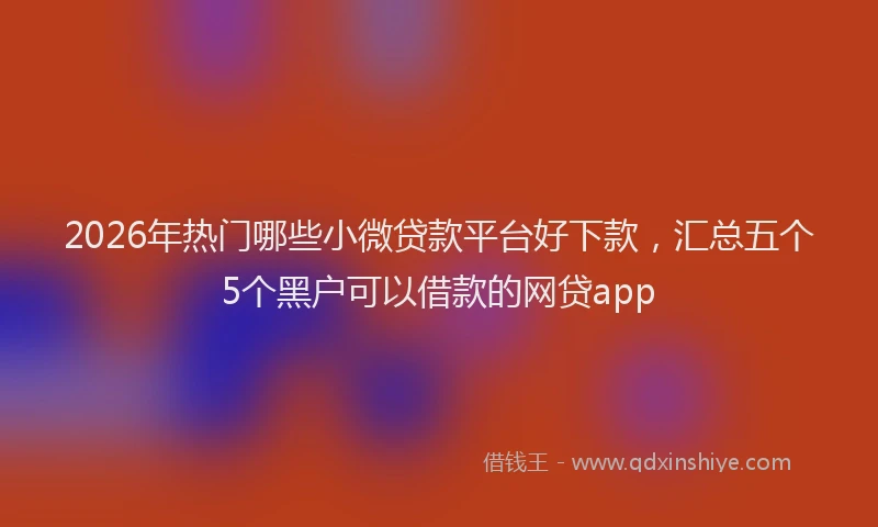 2026年热门哪些小微贷款平台好下款，汇总五个5个黑户可以借款的网贷app