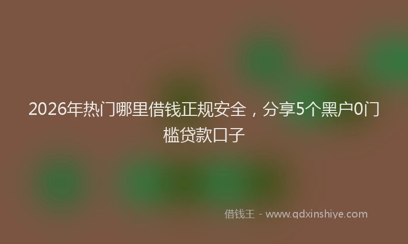 2026年热门哪里借钱正规安全，分享5个黑户0门槛贷款口子