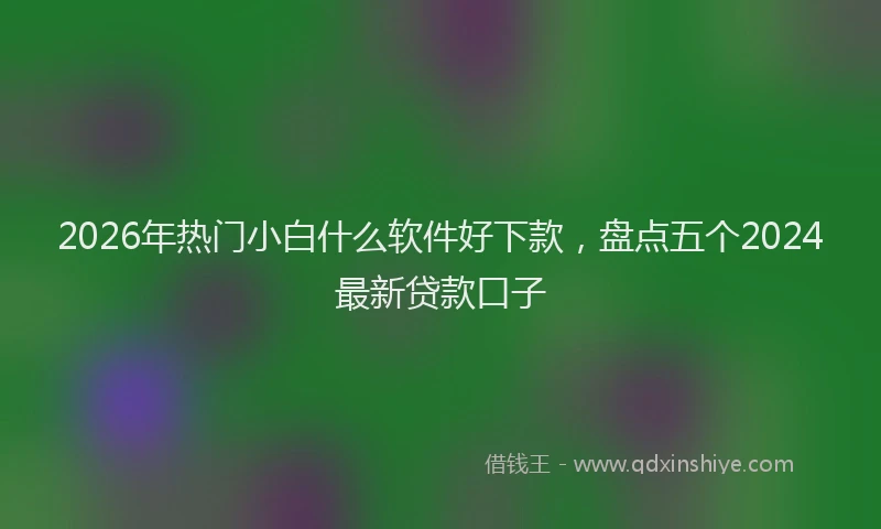 2026年热门小白什么软件好下款，盘点五个2024最新贷款口子