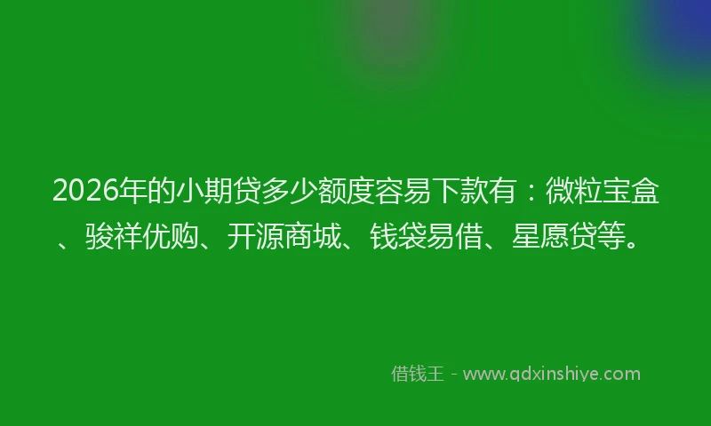 2026年的小期贷多少额度容易下款有：微粒宝盒、骏祥优购、开源商城、钱袋易借、星愿贷等。