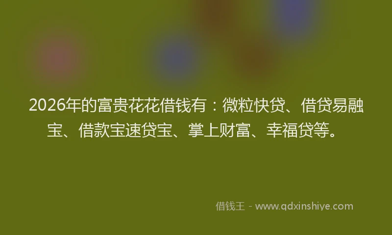 2026年的富贵花花借钱有：微粒快贷、借贷易融宝、借款宝速贷宝、掌上财富、幸福贷等。