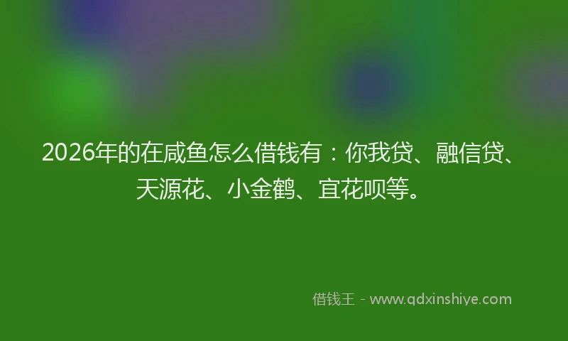2026年的在咸鱼怎么借钱有：你我贷、融信贷、天源花、小金鹤、宜花呗等。