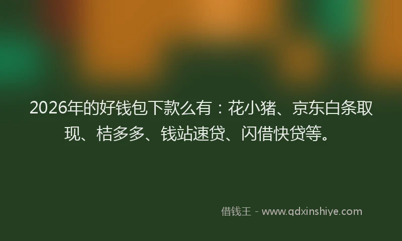 2026年的好钱包下款么有：花小猪、京东白条取现、桔多多、钱站速贷、闪借快贷等。