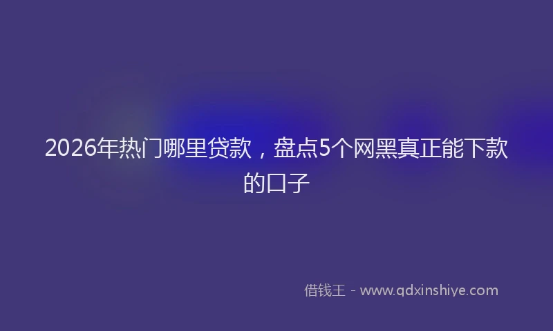 2026年热门哪里贷款，盘点5个网黑真正能下款的口子