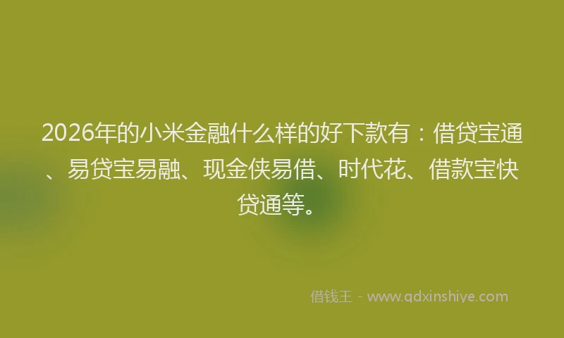2026年的小米金融什么样的好下款有：借贷宝通、易贷宝易融、现金侠易借、时代花、借款宝快贷通等。