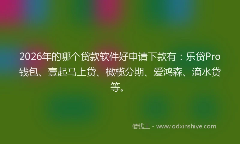 2026年的哪个贷款软件好申请下款有：乐贷Pro钱包、壹起马上贷、橄榄分期、爱鸿森、滴水贷等。