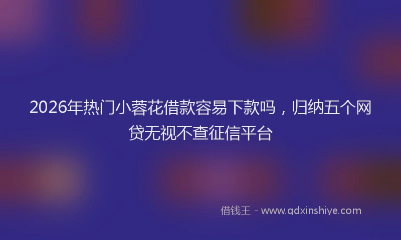 2026年热门小蓉花借款容易下款吗,归纳五个网贷无视不查征信平台
