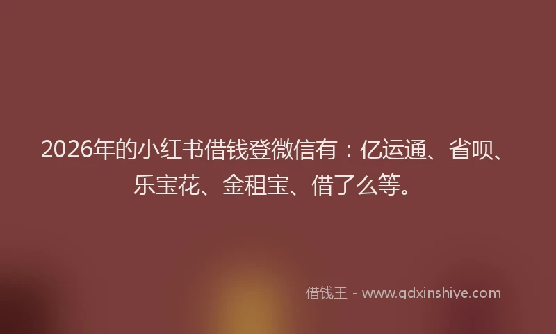 2026年的小红书借钱登微信有：亿运通、省呗、乐宝花、金租宝、借了么等。