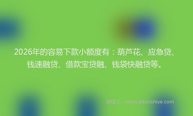 2026年的容易下款小额度有：葫芦花、应急贷、钱速融贷、借款宝贷融、钱袋快融贷等。