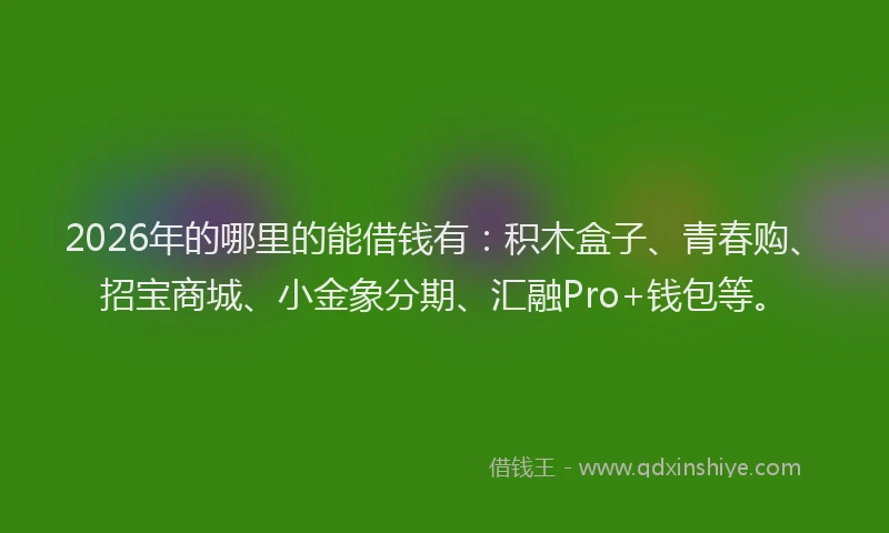 2026年的哪里的能借钱有：积木盒子、青春购、招宝商城、小金象分期、汇融Pro+钱包等。