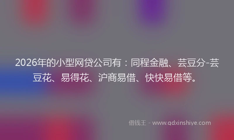 2026年的小型网贷公司有：同程金融、芸豆分-芸豆花、易得花、沪商易借、快快易借等。