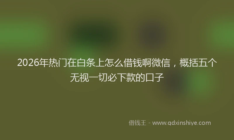 2026年热门在白条上怎么借钱啊微信，概括五个无视一切必下款的口子