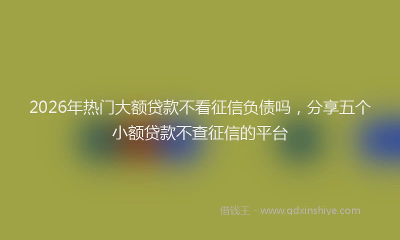 2026年热门大额贷款不看征信负债吗，分享五个小额贷款不查征信的平台