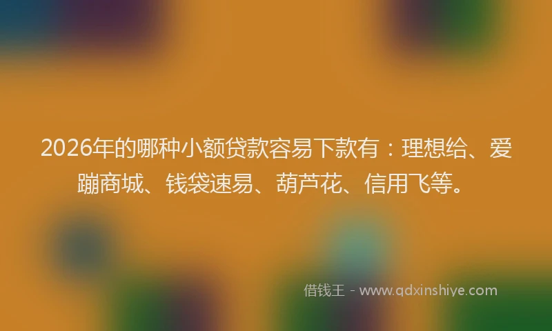 2026年的哪种小额贷款容易下款有：理想给、爱蹦商城、钱袋速易、葫芦花、信用飞等。